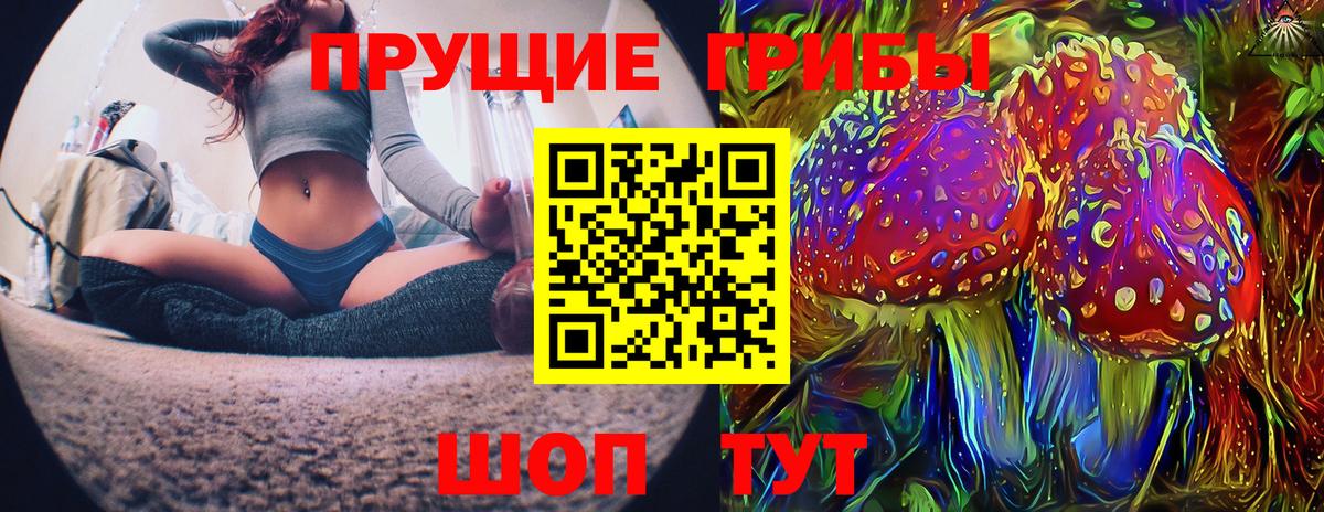Псилоцибиновые грибы Psilocybe Реж